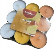 Świece - Podgrzewacze Mango 18Szt Kolorowe Podgrzewacze - miniaturka - grafika 1