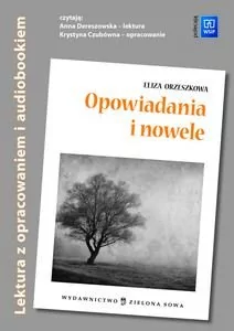 Opowiadania i nowele Eliza Orzeszkowa MP3) - Audiobooki - lektury - miniaturka - grafika 1