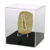Pozostałe książki - Acryl-Vitrine "cube" 12 x 12 x 14 cm - miniaturka - grafika 1