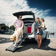 Sprzęt podróżny i transportery dla psów - 4pets rampa EasySteps - miniaturka - grafika 1