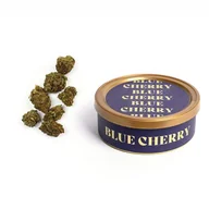 Zioła - Incannation, Susz konopny cbd blue cherry spain chill weed us golden line, 5 g - miniaturka - grafika 1