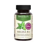 Suplementy diety - AVET HERBS Melisa B12, 30kaps. - !!! 24h WYSYŁKA !!! - miniaturka - grafika 1