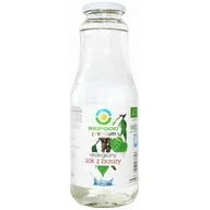 Soki i napoje niegazowane - BIO FOOD SOK Z BRZOZY BIO 1 L - miniaturka - grafika 1