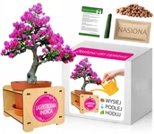 Nasiona i cebule - Zestaw do uprawy bonsai Lagerstroemia Indica - miniaturka - grafika 1