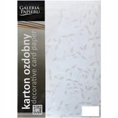 Papier do drukarek - Argo Papier ozdobny Liana biały 100g/m2 - opk 50ark/A4 206501 - miniaturka - grafika 1