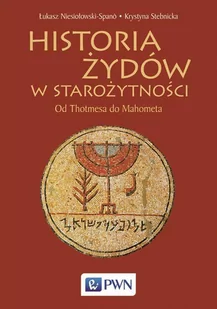 Historia Żydów w starożytności - E-booki - historia - miniaturka - grafika 1