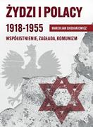 E-booki - historia - Żydzi i Polacy 1918-1955 - miniaturka - grafika 1
