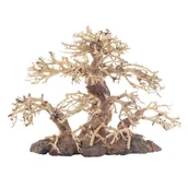Dekoracje do akwarium - PROGROW Bonsai Tree BT2M 30x15x23cm drzewko - miniaturka - grafika 1