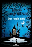 Literatura popularno naukowa dla młodzieży - Ewa Rosolska Tajemnica starego witraża tom 1 trzy krople życia - miniaturka - grafika 1