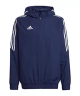 Kurtki męskie - adidas Kurtka męska, Tenabl, L - miniaturka - grafika 1