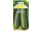 Nasiona i cebule - Dynia zwyczajna cukinia soraya zielona 2 POLAN - miniaturka - grafika 1