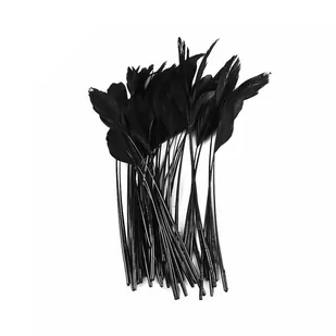 Piórka Ozdobne Ptasie Czarne 15-20 cm 10 szt. - Pasmanteria - miniaturka - grafika 1