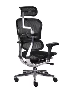 Fotel biurowy, krzesło biurowe Ergonomiczny fotel biurowy Ergohuman Elite 2 BS Black - czarny nowoczesny fotel siatkowy - Fotele i krzesła biurowe - miniaturka - grafika 1
