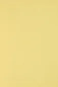 Dekoratorstwo - [ MB.10 ] Papier Burano 250g Giallo j. żółty - 20A4 / al *  Papier Burano 250g Giallo B07 pak. 20A4 - miniaturka - grafika 1