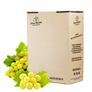 Sok z winogron Nasza Tłocznia WINOGRONO BIAŁE 3L - Soki i napoje niegazowane - miniaturka - grafika 1