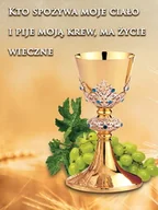 Ikony i obrazy sakralne - Baner na Boże Ciało "Kto spożywa moje ciało i pije moją krew ma życie wieczne" 75x100 cm - miniaturka - grafika 1