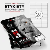 Etykiety samoprzylepne i bloki etykiet - Emerson Etykiety samoprzylepne A4 nr 16, wymiary 68 x 35 mm, opakowanie 100 arkuszy po 24 etykiety, zaokrąglone rogi R2 - miniaturka - grafika 1