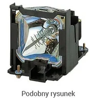 Lampy do projektorów - Viewsonic RLC-073 Oryginalna lampa wymienna do PJD6211P RLC-073 - miniaturka - grafika 1