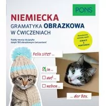 Niemiecka Gramatyka obrazkowa w ćwiczeniach - Powieści i opowiadania - miniaturka - grafika 1