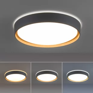 Paul Neuhaus Q-EMILIA sufitowa LED, szara/drewno - Lampy sufitowe - miniaturka - grafika 4