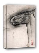Obrazy i zdjęcia na płótnie - Head of a Horse, Edgar Degas - obraz na płótnie Wymiar do wyboru: 20x30 cm - miniaturka - grafika 1