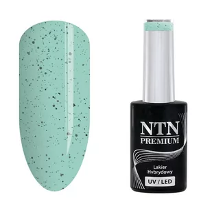 Ntn Premium Lakier hybrydowy NTN Premium Sugar Puff Collection 5 g Nr 183 - Lakiery hybrydowe - miniaturka - grafika 1