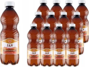 Woda Jan Jan Naturalna woda lecznicza oczyszczenie 0,5 l x 12 sztuk - Woda - miniaturka - grafika 1
