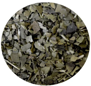 YERBA MATE GREEN susz 100g energia pobudzenie - Yerba Mate - miniaturka - grafika 1