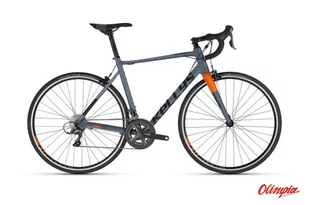 Rower Kellys ARC 10 2023 - Rowery - miniaturka - grafika 1