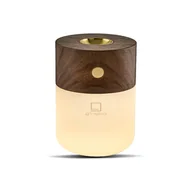 Zapachy do domu - Smart dyfuzor Gingko Walnut - miniaturka - grafika 1