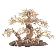 Dekoracje do akwarium - PROGROW Bonsai Tree BT2M 30x15x23cm drzewko - miniaturka - grafika 1