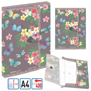 teczka a4 pp z gumką ladylike butterfly - Teczki i skoroszyty - miniaturka - grafika 1