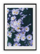 Plakaty - Plakat 30x40 cm Kwiaty Rośliny (2) WZORY - miniaturka - grafika 1