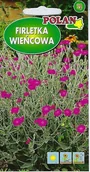 Nasiona i cebule - Firletka wieńcowa amarantowa 0,5 g POLAN - miniaturka - grafika 1