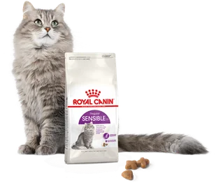 ROYAL CANIN  Sensible 4kg 33 karma sucha dla kotów dorosłych, o wrażliwym przewodzie pokarmowym + niespodzianka dla kota GRATIS! - Sucha karma dla kotów - miniaturka - grafika 5