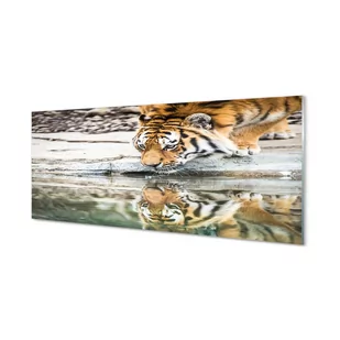 Szkło bezpieczne panel + klej Pijący tygrys 125x50 cm - Dekoracje domu - miniaturka - grafika 1