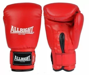 RĘKAWICE BOKSERSKIE TRAINING PRO 10oz - Rękawice bokserskie - miniaturka - grafika 1