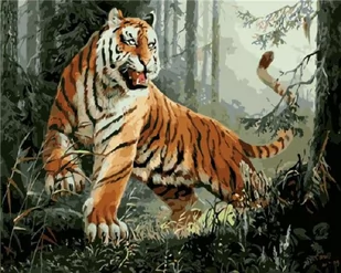 Bojowy tygrys - Malowanie po numerach 50x40 cm - Malowanie po numerach - miniaturka - grafika 1