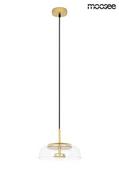 Lampy sufitowe - Moosee lampa wisząca EDEN złota MSE010100147 [18221936] - miniaturka - grafika 1