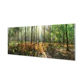 Dekoracje domu - Panel kuchenny ochrona Las drzewa brzozy 125x50 cm - miniaturka - grafika 1