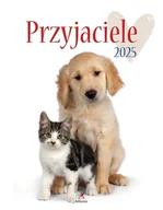 Kalendarze - Kalendarz ścienny, przyjaciele, biały, 34x44 - miniaturka - grafika 1