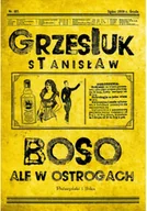 Powieści historyczne i biograficzne - boso, ale w ostrogach - miniaturka - grafika 1