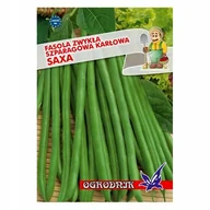 Nasiona i cebule - Fasola zielona karłowa Saxa 40g / O / - miniaturka - grafika 1