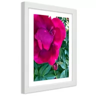 Plakaty - Plakat w ramie białej, Różowy duży kwiat (Rozmiar 30x45) - miniaturka - grafika 1