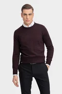 Swetry męskie - Sweter DANIELE SWWR000422 - miniaturka - grafika 1