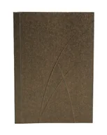 Notesy i bloczki - Paperblanks Notatnik Puro Bronze A7/128 kartek w linie - miniaturka - grafika 1