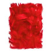 Pasmanteria - DpCraft Piórka dekoracyjne, czerwone 5-12 cm, 10G, DPCRAFT - miniaturka - grafika 1