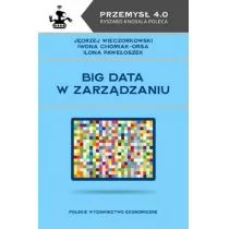 PWE Big data w zarządzaniu - Zarządzanie - miniaturka - grafika 1