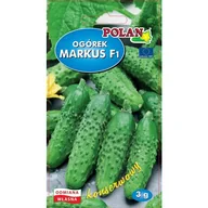 Nasiona i cebule - OGÓREK bez goryczy MARKUS 3g - miniaturka - grafika 1