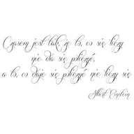 Naklejki na ścianę - Napis na ścianę naklejka 120x60cm wybór koloru - Czasem jest tak... 250 - miniaturka - grafika 1